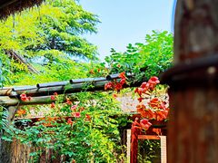 -洛阳白马寺