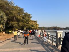 -海珠湖公园