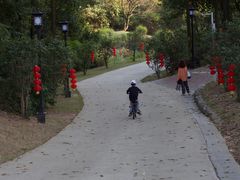 -四望岗公园
