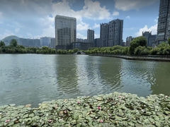 -凤池园