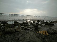 -宝安西湾红树林湿地公园