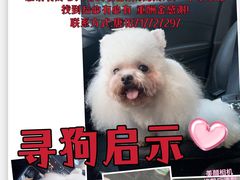 -宠爱有家宠物店(环镇北路店)