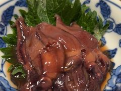 -桂马·日本料理·海胆·海鲜饭·酒场(民主广场店)