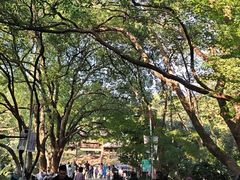 -杭州半山国家森林公园