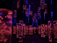 -成都浩海立方海洋公园