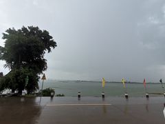 -八仔大富楼·河鲜(西江店)