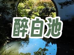 -上海醉白池公园