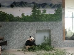 -西安秦岭野生动物园