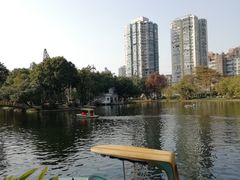 -晓港公园