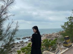 -广东惠东海龟国家级自然保护区