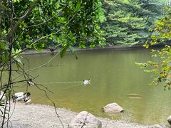 -水濂山森林公园