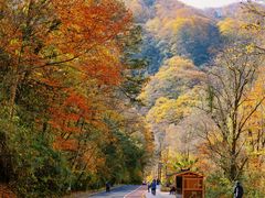 -光雾山旅游景区