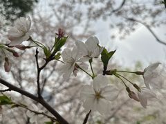 -西北湖绿化广场