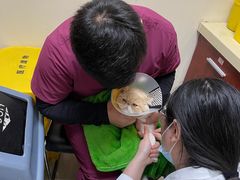 -艾贝尔宠物诊疗