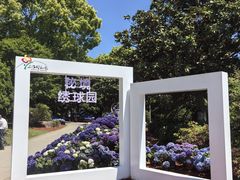 -上海鲜花港