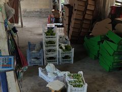 -马陆小张葡萄园农家乐