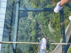 -梦幻奥陶纪景区