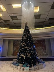 -St.Regis瑞吉金融街酒店·宴会厅