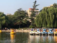 -团结湖公园