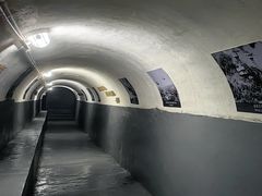 -枫泾古镇-人民公社旧址