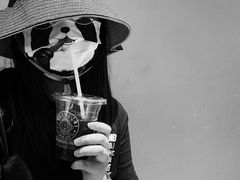 -Punchline Coffee&Roaster(同济大学店)