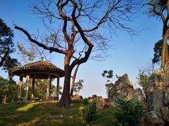 -广州市白云山风景名胜区
