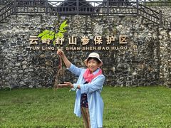 -云岭野山参风景区