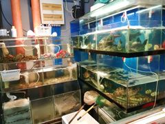 水产区-美味海鲜大排档(明发美食地标店)