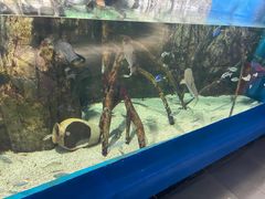 -欢乐海岸海洋奇梦馆