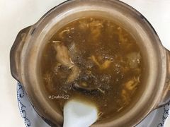 招牌花胶海参煲仔翅-添發碗仔翅美食
