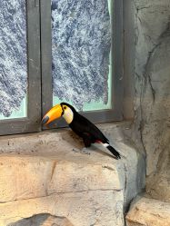 -Zoolung Zoolung动物主题公园(海信广场店)