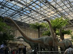 -国家自然博物馆