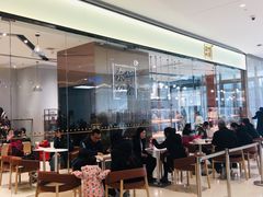 -奈雪的茶(石家庄万象城店)