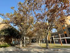 -山东省青岛第二中学(江西路分校)