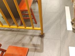 -老马路串串香火锅(北门桥店)