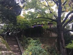 -蒋氏故居