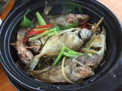 -南蚝小贝海鲜特色餐厅(南澳岛店)