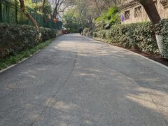 -北极阁公园