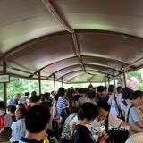 是有故事情节的烟火表演
