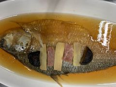 火焖鲥鱼-顺风海鲜港(金玉兰店)