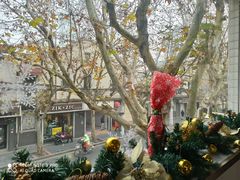 -蝶舍·MAISON PAPILLON