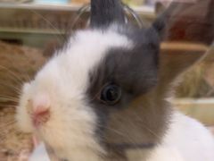 -龙猫仔乐园(惠福东路店)