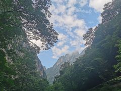 -青峰峡国家森林公园