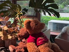 -咖法森林·咖啡  酒吧(天河店)