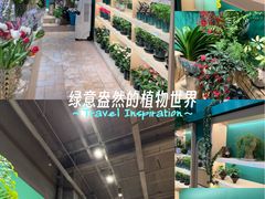 -威克特披萨汉堡