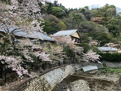 -月光园游月山庄