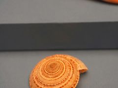 -金沙遗址博物馆