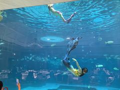 -蒂铂·美人鱼·海底餐厅(海棠湾店)