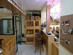 -滚猫咖啡·猫咖·猫友好撸猫(未来城店)
