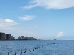 -碧海金沙
